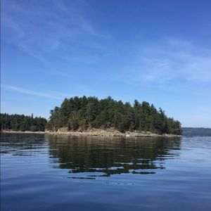 Meet your Posher, Darlene